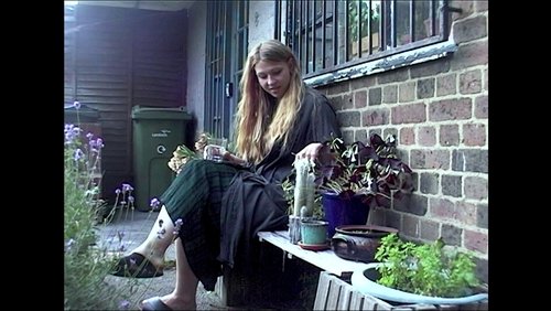 The Plant Collector