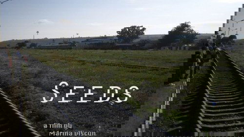Seeds