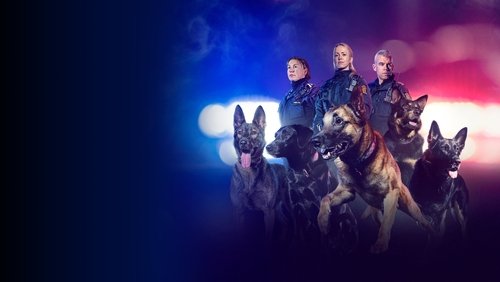 The Dog Patrol