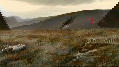 Sightseers