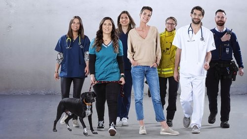 Nouvelles recrues : leurs premiers pas