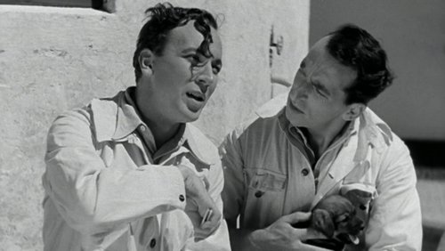 De bør forelske Dem