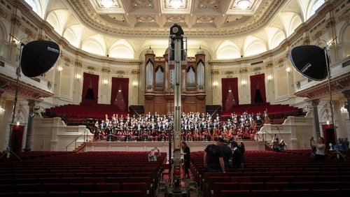 Bloed, zweet en snaren. De mensen van het Koninklijk Concertgebouworkest