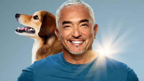 Cesar Millan: Better Human, Better Dog