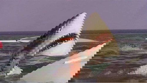 The Last Shark