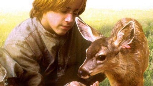 The Yearling