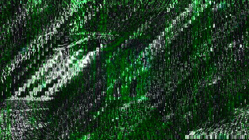 The Matrix