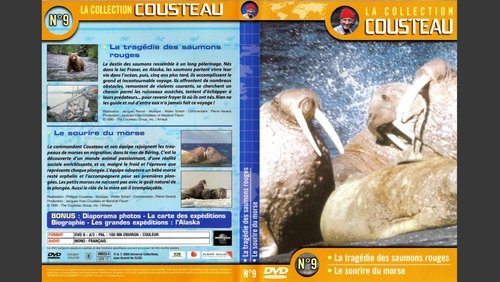 The Cousteau Collection N°9-2 | Morse's Smile