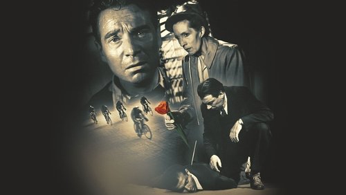 Five Red Tulips