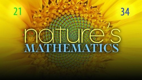 Nature's Mathematics
