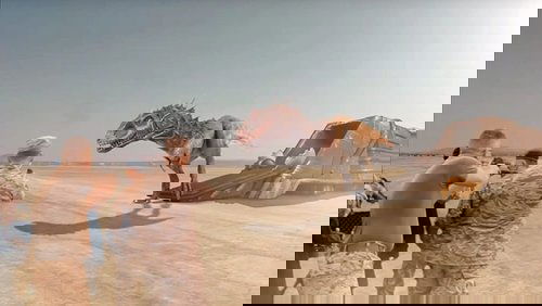 Jurassic Thunder