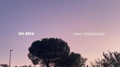 Un Être Rose Crépuscule