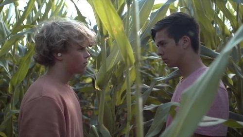 Desire: The Short Films of Ohm