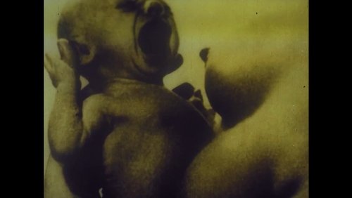 Confession: A Chronicle of Alienation