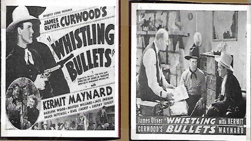 Whistling Bullets