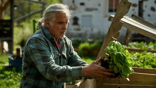 The Gardener's Year