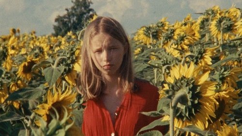 Alice and the Sunflowers