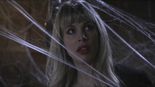 Spider in the Attic