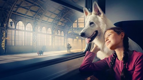 Lampo, the Travelling Dog