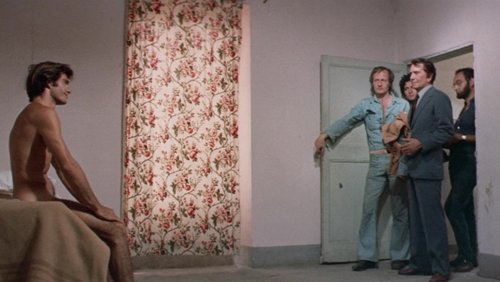 The Violent Professionals