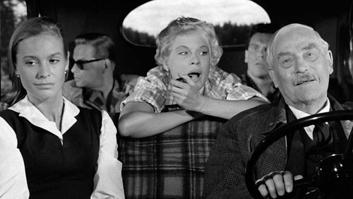 Wild Strawberries
