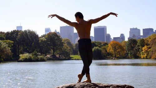 Anatomy of a Male Ballet Dancer