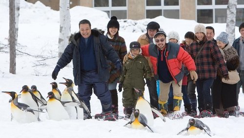 Asahiyama Zoo Story: Penguins in the Sky