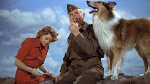 Son of Lassie