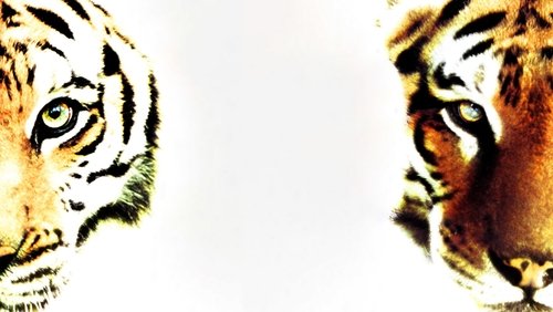 Two Brothers