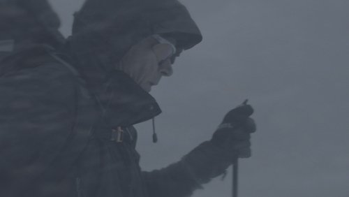 Wandering in the White