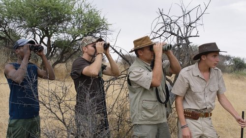 Safari