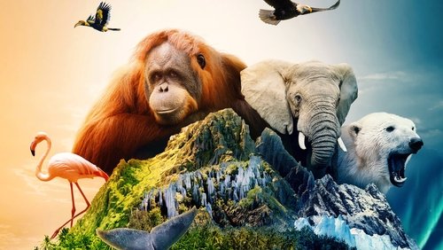 Islands: Nature's Wild Laboratories