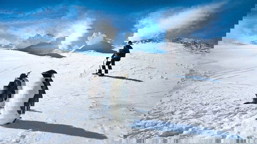 Antarctica: A Year on Ice