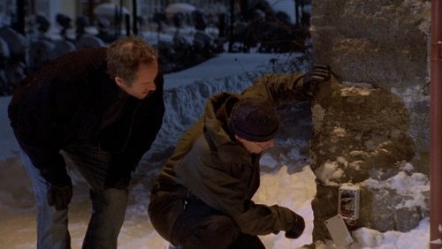 Wallander: The Brothers