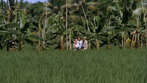 Banana Paradise