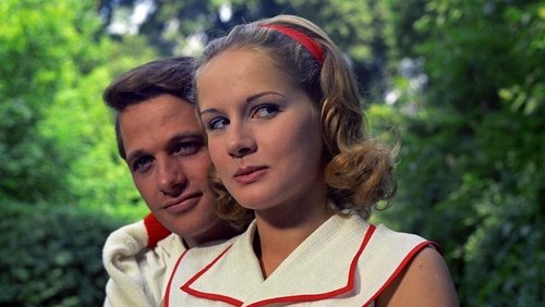 The Garden of the Finzi-Continis