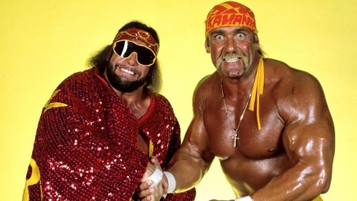 WWE Survivor Series 1988