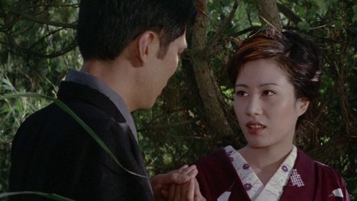 The World of Geisha