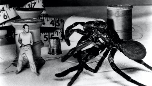 The Incredible Shrinking Man