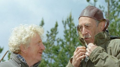 Rozmowy przy wycinaniu lasu