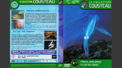 The Cousteau Collection N°7-1 | Octopus, Little Octopus