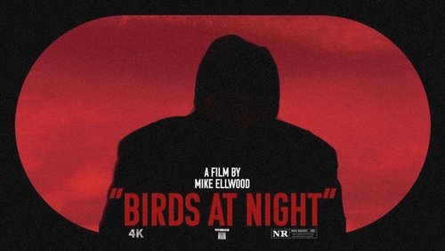 Birds at Night