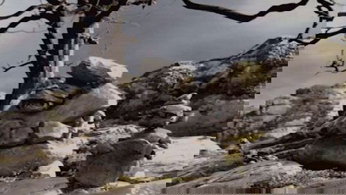Rocks