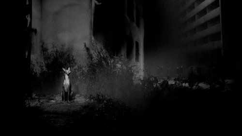 Songs for a Passerby
