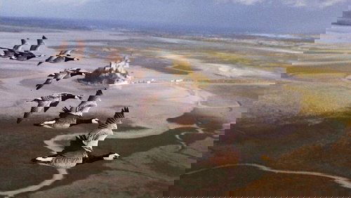 Winged Migration