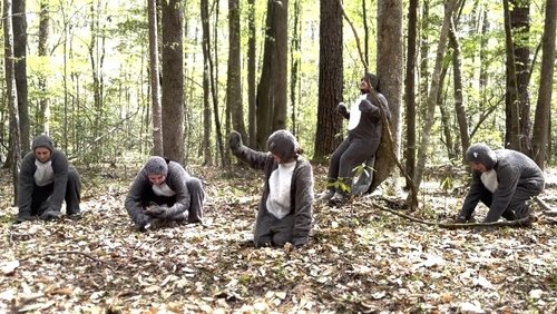 Nature Planet: Squirrels