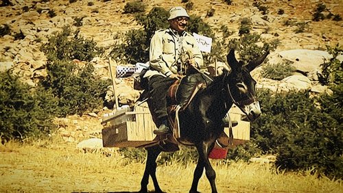 Return of Ghawar