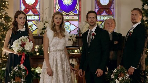 Christmas Wedding Planner