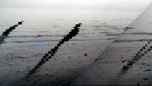 Swim Alone