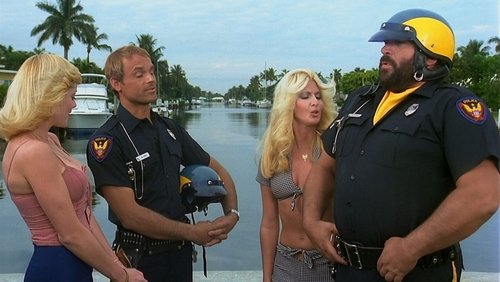 Crime Busters